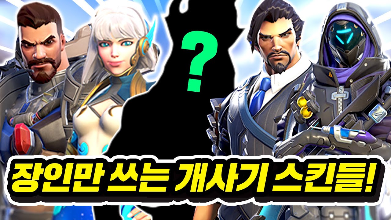 【실용성 120%】장인들만 사용하는 영웅별 스킨 총정리!