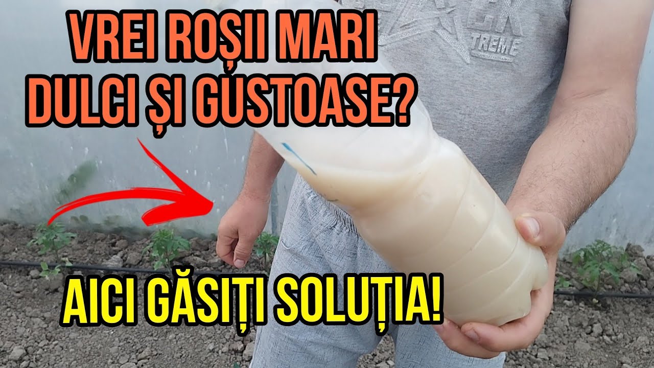 ÎNGRĂȘĂMÂNT NATURAL DIN DROJDIE.( cea mai buna rețetă).