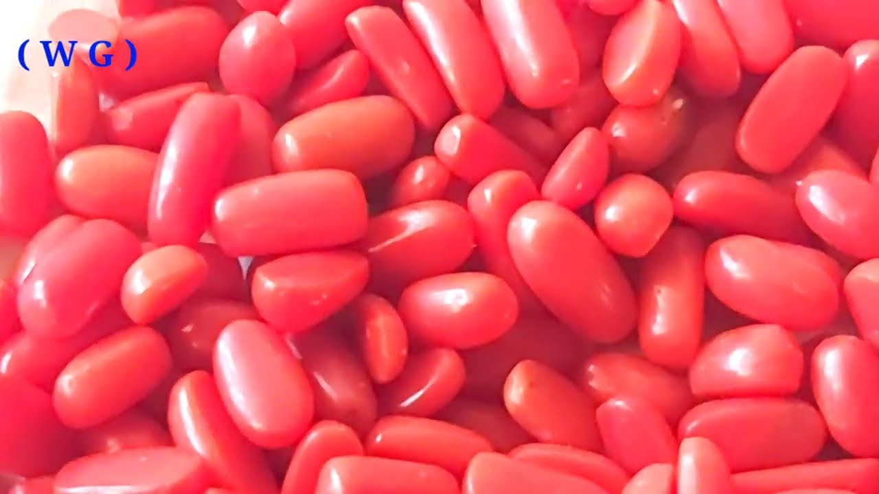 Natural Coral Stone | how to identify Coral Stone |