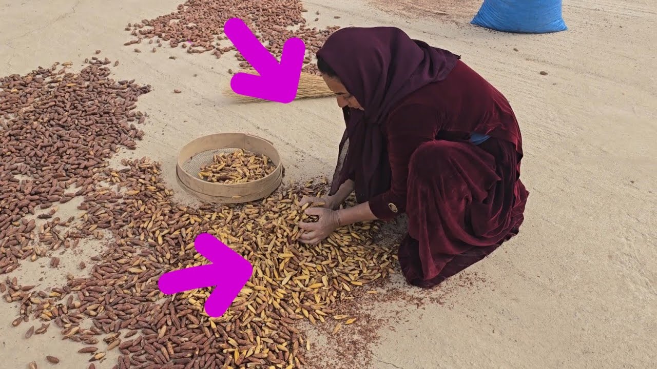 #love_storyThe adventuresof Zainab's brother Abbas continueSalman and Hojjat are also selling fruit