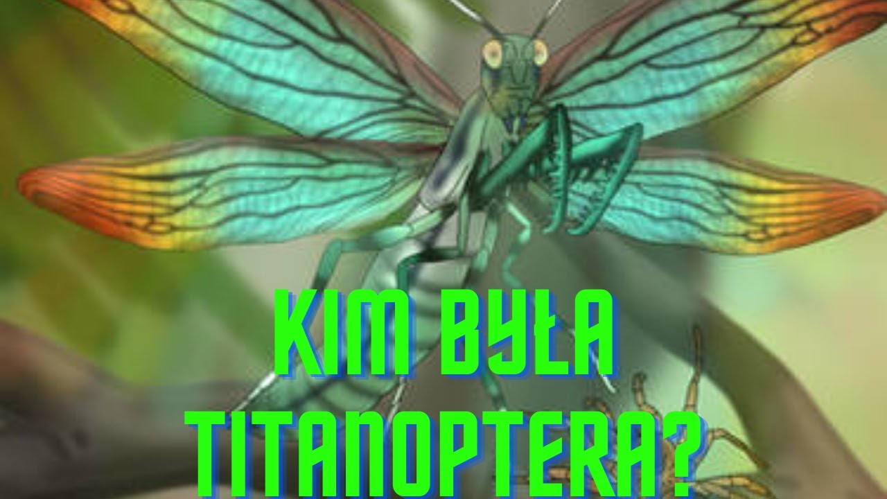 Tajemnice Prehistorii  - Kim jest Titanoptera?