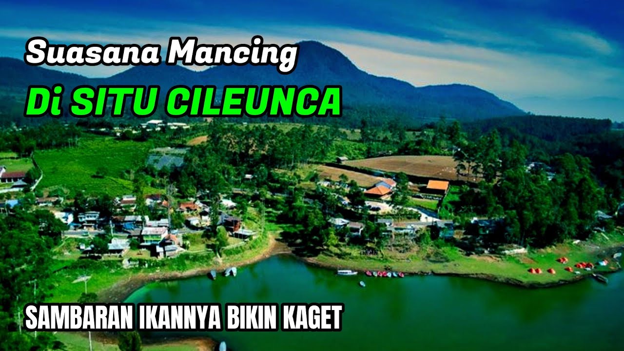 Serangan Ikannya Bikin Kaget || Suasana Mancing Di Situ Cileunca Pangalengan