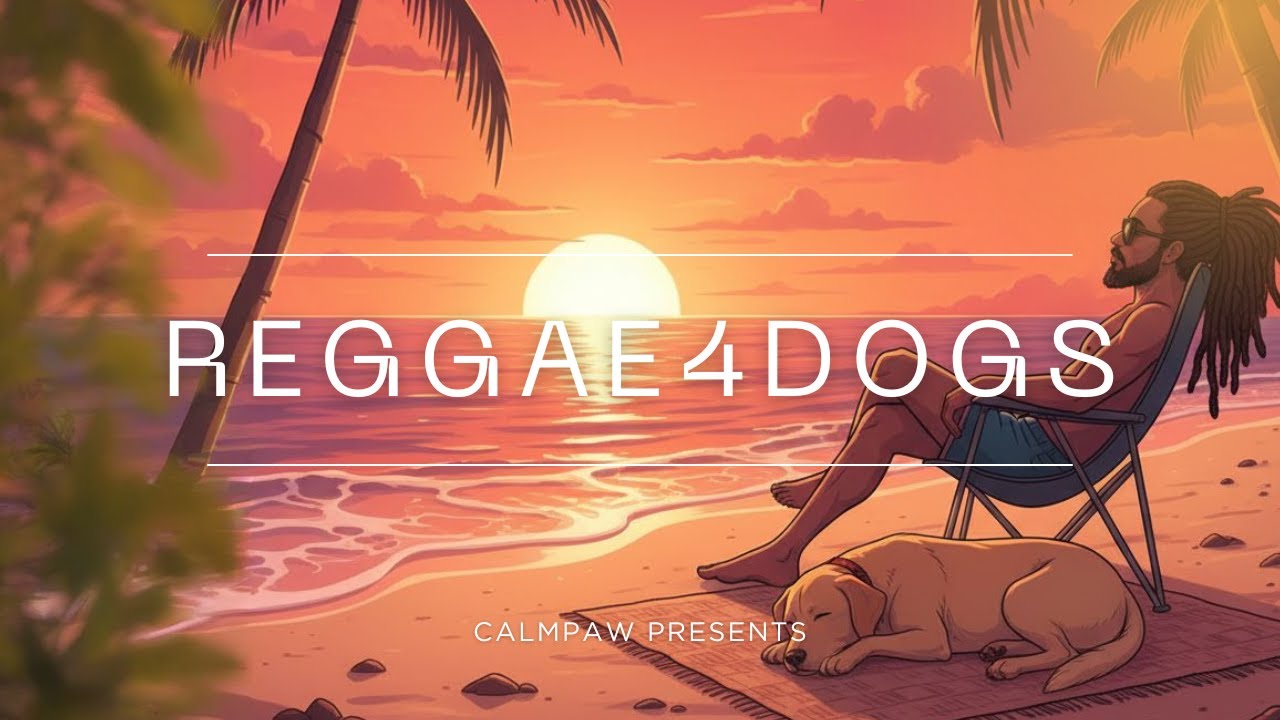 Relaxing Reggae for Lonely Dogs: 90 min of Instrumental Beats for Separation Anxiety 강아지수면 음악