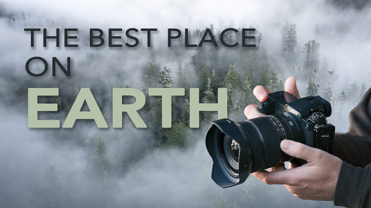Photographing Trees Older Than Time | Into the Ancient Forests