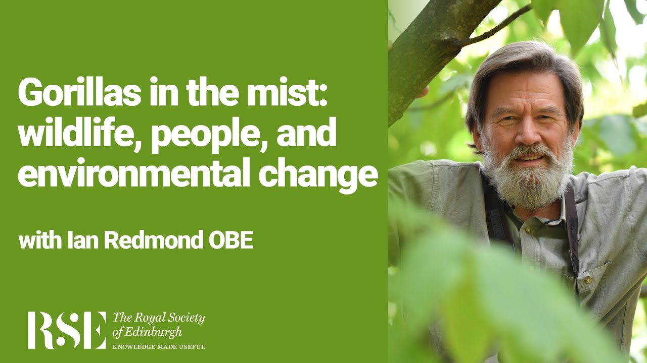 Gorillas in the mist: wildlife, people, and environmental change | Ian Redmond OBE