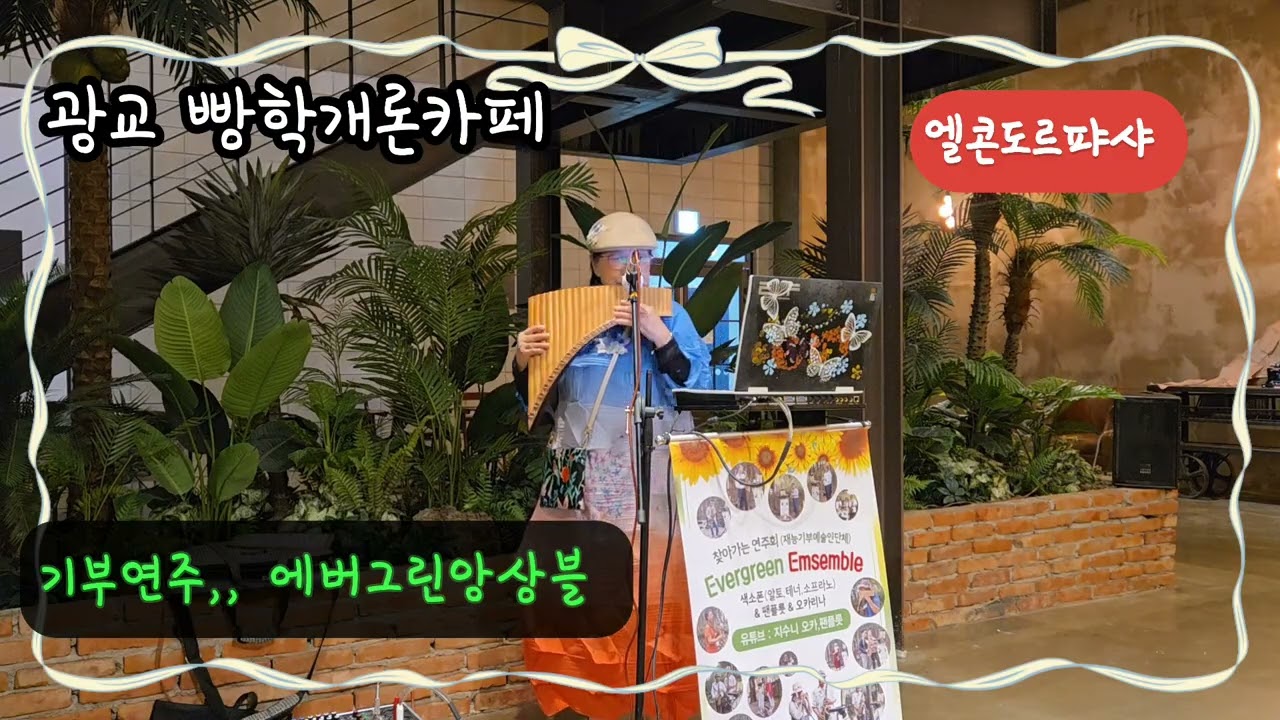 엘콘도르퍄샤. 광교빵학개론카페기부연주