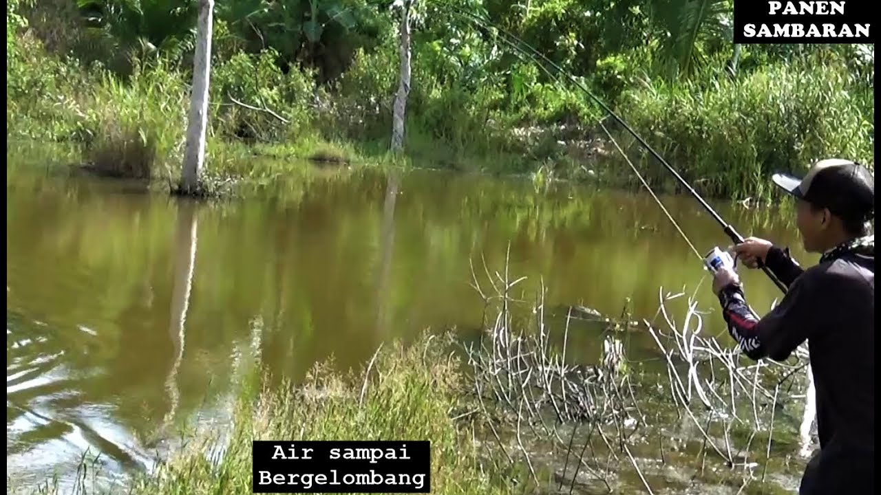 Casting Gabus/Snakehead (Spot yang Mantap)