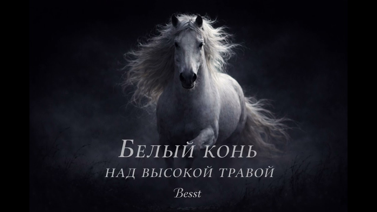 Белый конь над высокой травой — Besst #авторскаяпесня  #русскаямузыка  #конь #путь #лошади 