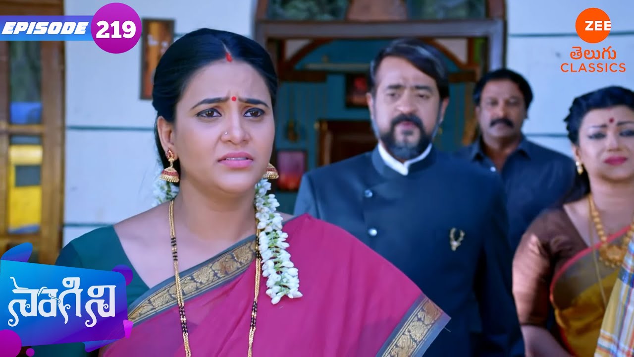 దిగ్విజయ్‌పై మధు ఆరోపించారు | Naagini | Ep 219 | Zee Telugu Classic