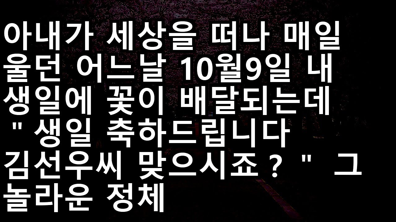 20241025   반전신청사연