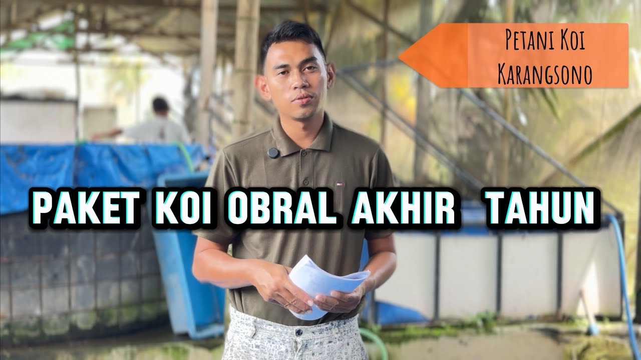 Paket koi obral akhir tahun di petani muda Karangsono Koi Blitar