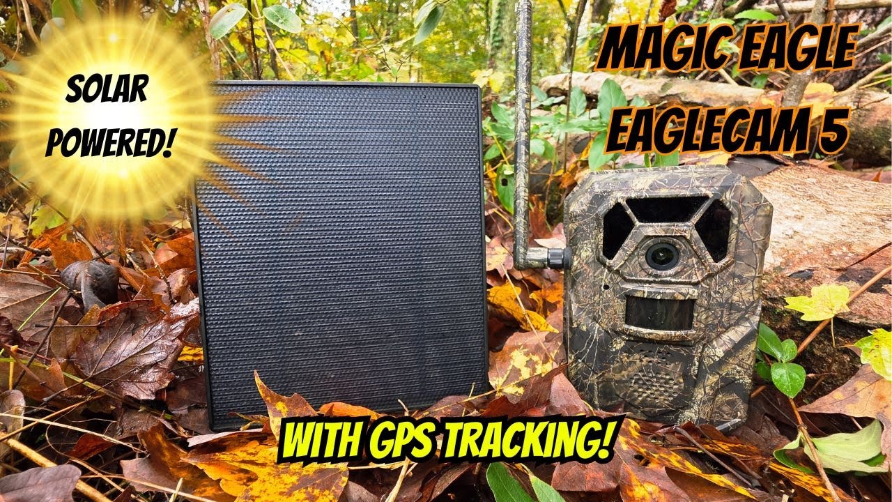 Обзор сотовой камеры Magic Eagle EagleCam 5 #природа #дикаяприрода #на открытом воздухе