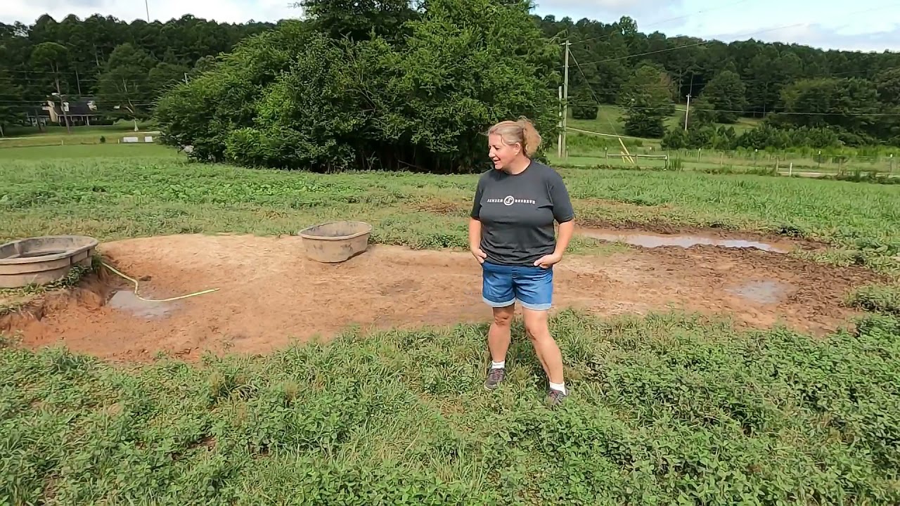 How are Meishan Pigs on Pasture?