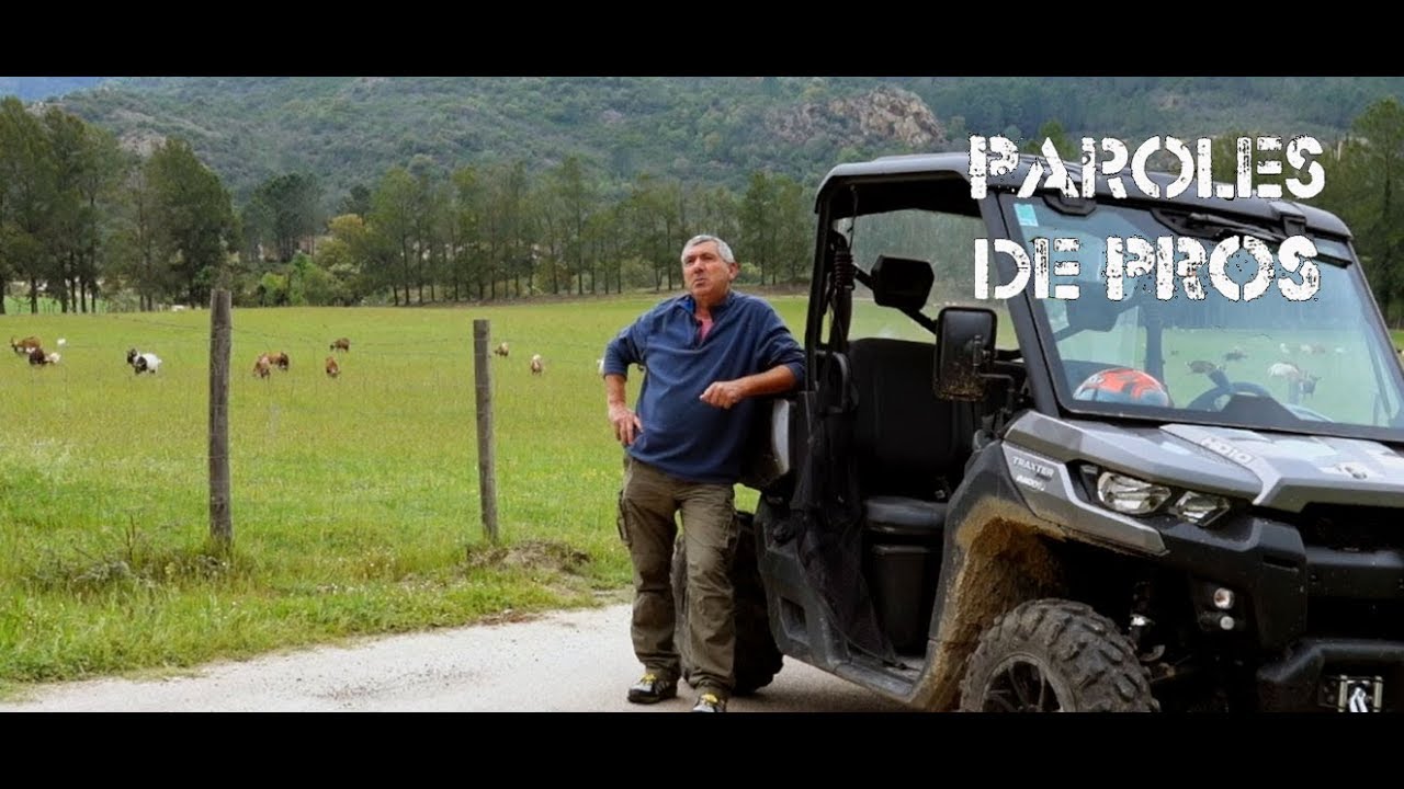 Traxter Bergerie Corse