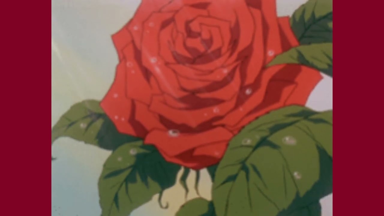 fifth petal's lofi