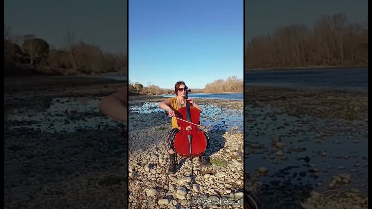La valse d'Amélie- violoncelle