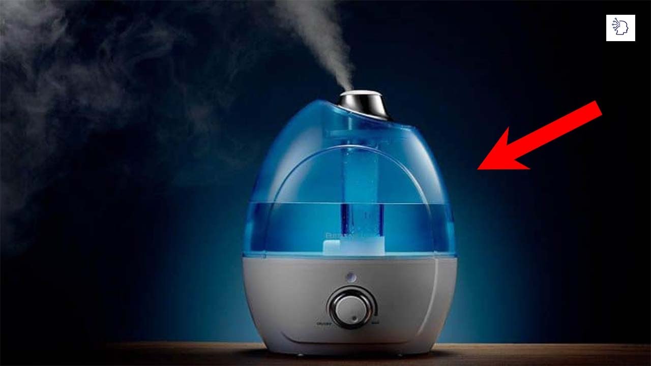 Best Humidifier 2021 | Best Humidifier For Bedroom Review