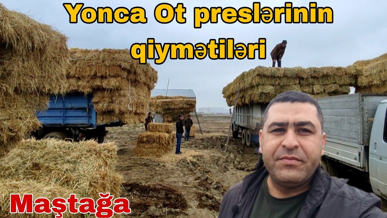 Yonca ot preslərinin qiymətiləri 