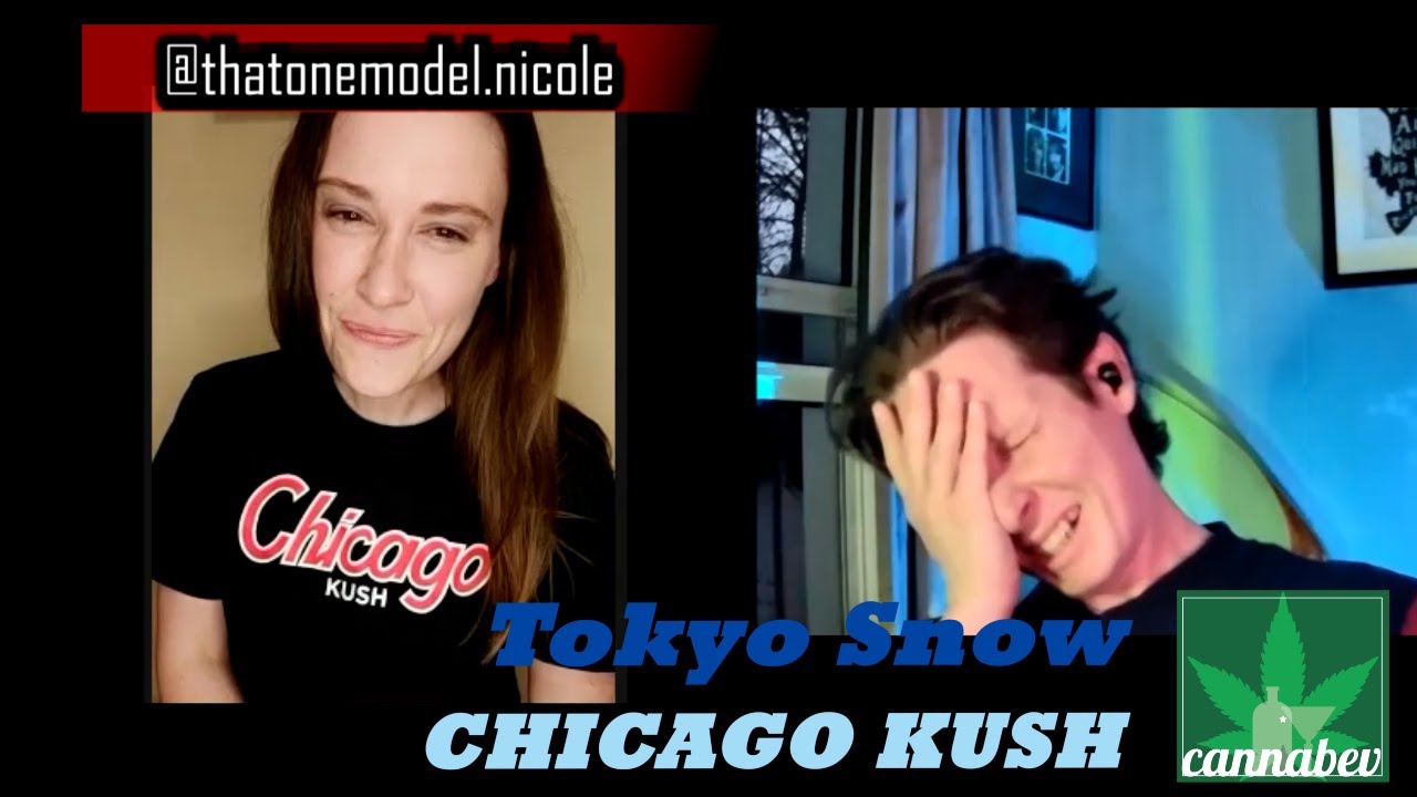 Chicago Kush Tokyo Snow Cannabis Review: Talk n Toke Part II w Nicole