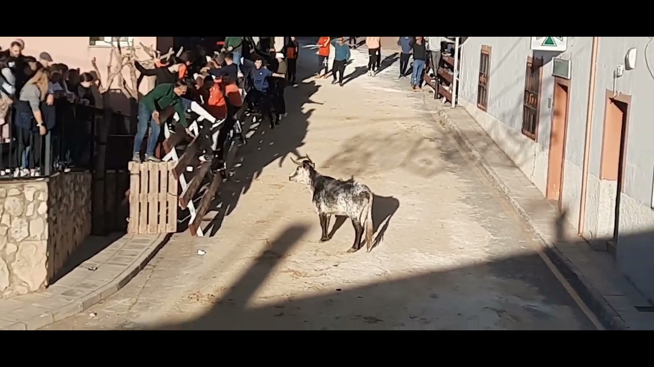 ENCIERRO EN BENIZAR 6/12/2024