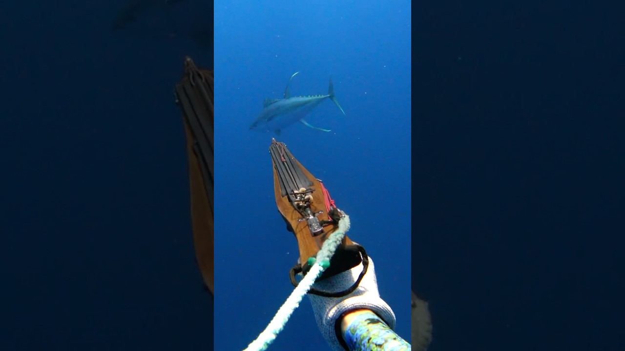 Saya menangkap ikan tuna raksasa di Bali