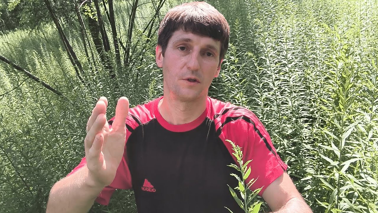 Что будет с психикой, если пил алкоголь 20 лет? Влияние алкоголя на нервную систему человека.