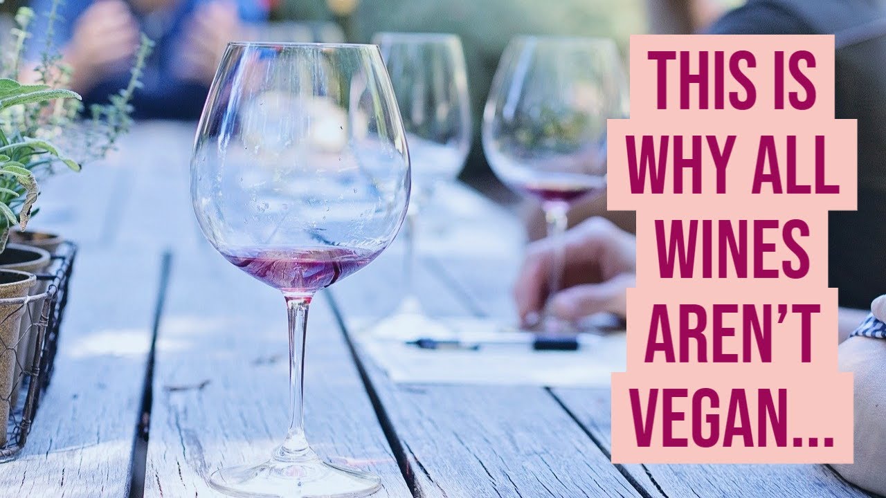 Vegan Wine. What is it & How to Find it!