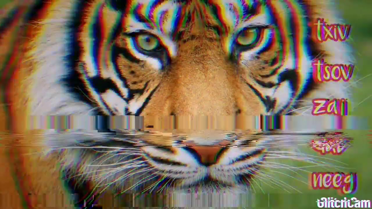 txiv tsov zaj dab neeg