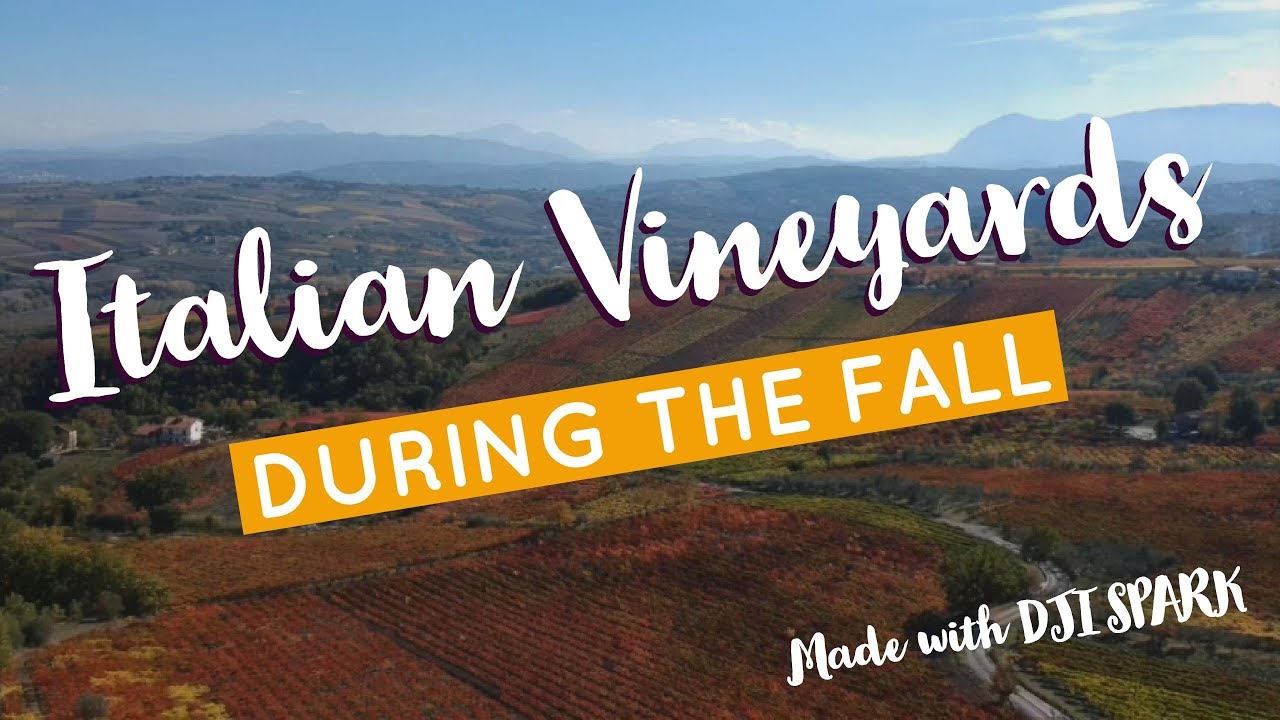 Visit Italy | Italian Vineyards during the Fall - Vigneti in Autunno || DJI SPARK Cinematic Video