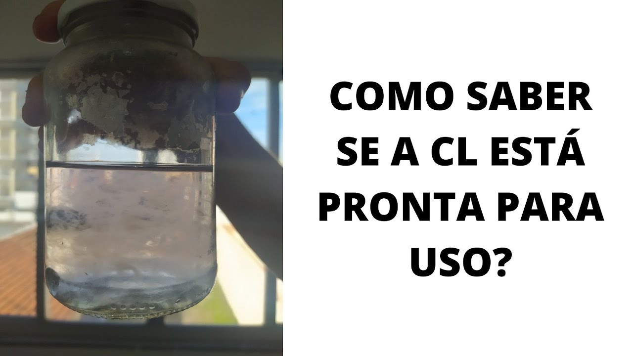 Quando a CULTURA LÍQUIDA está pronta para o CULTIVO DE COGUMELOS?