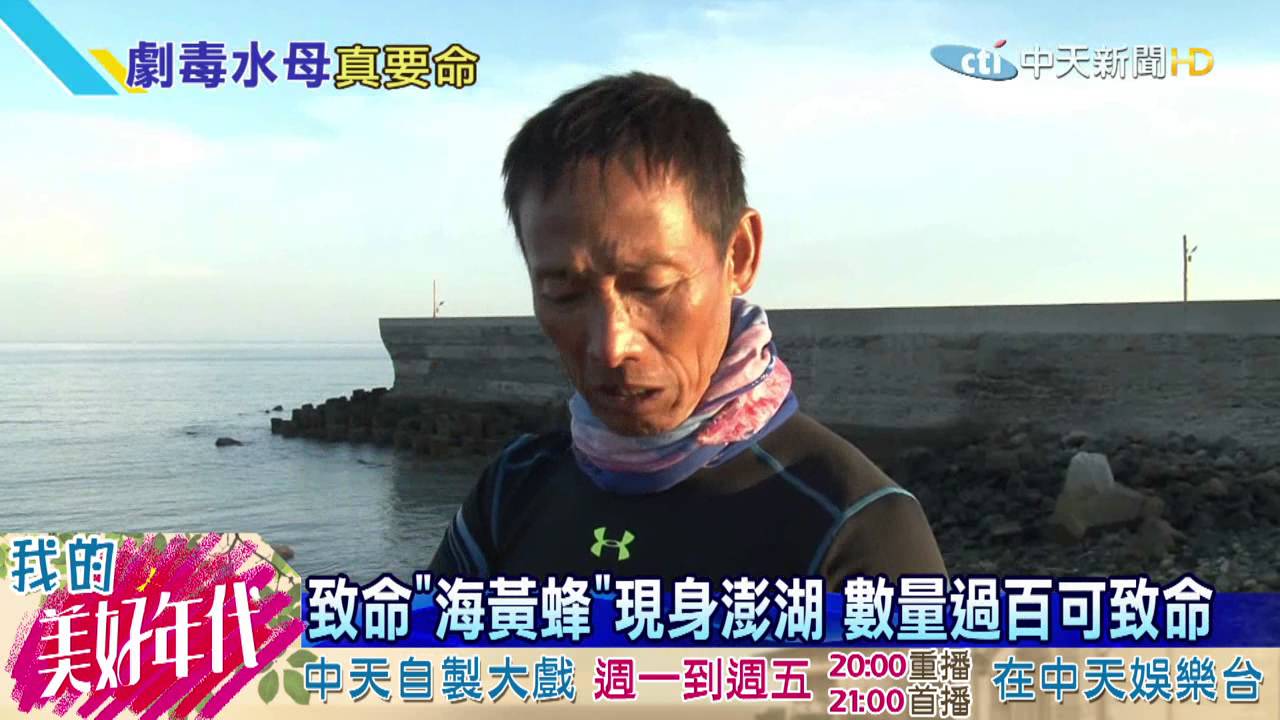 20160726中天新聞　「箱型水母　數量逾百」　致命「海黃蜂」現身澎湖
