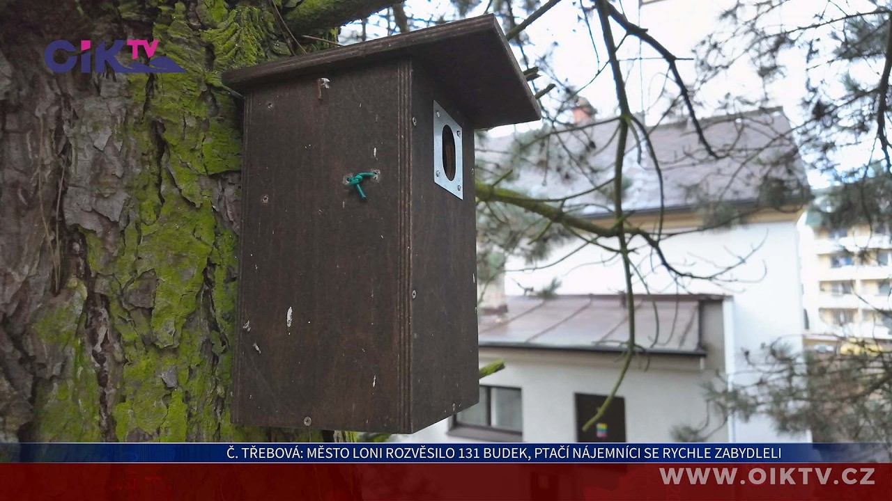 Česká Třebová: Město loni rozvěsilo 131 budek, ptačí nájemníci se rychle zabydleli