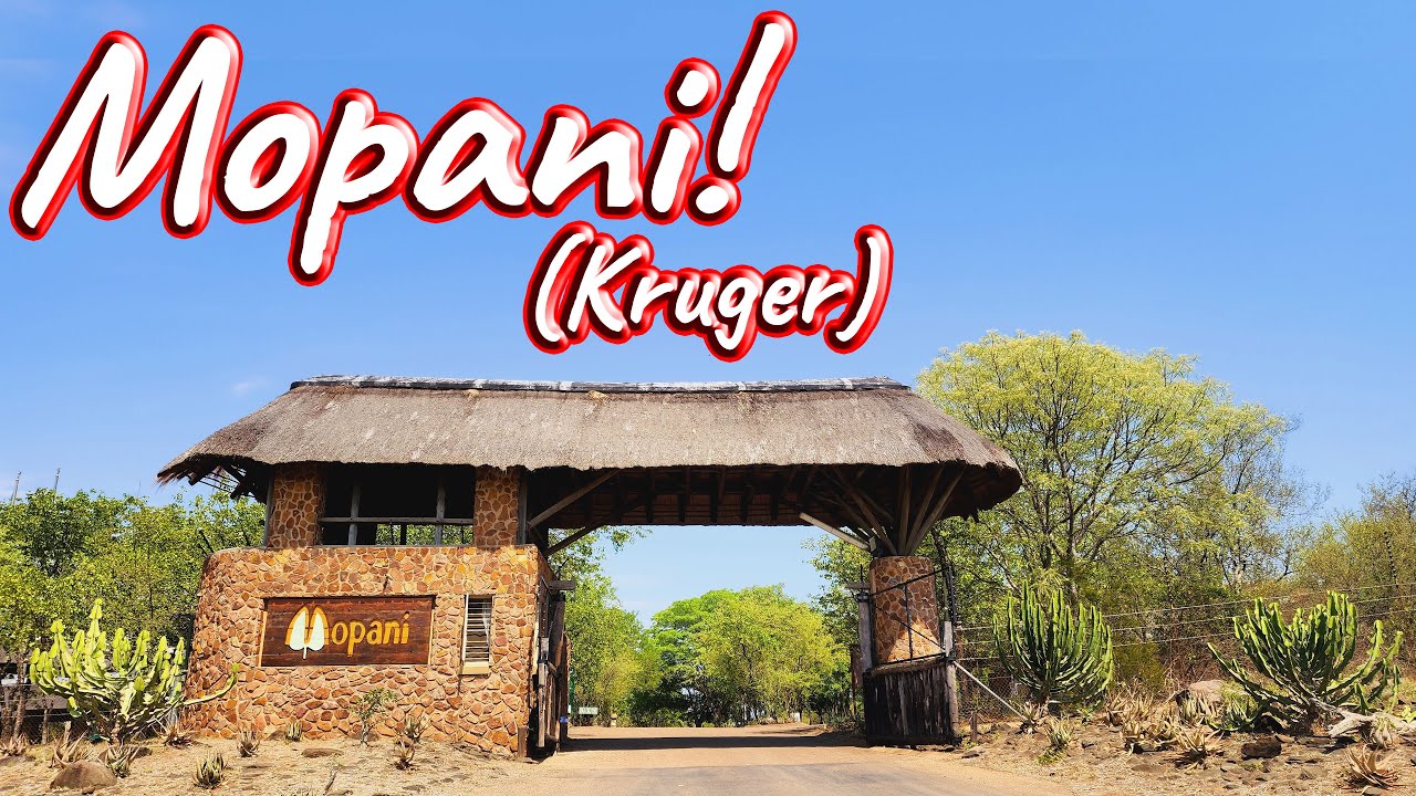 Mopani Rest Camp! Ep 428