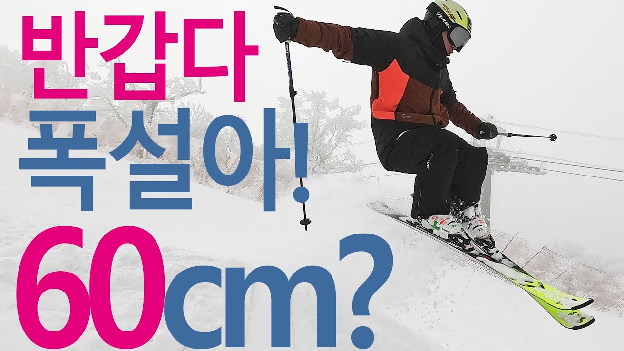 60cm? Deep powder skiing in mona yongpyong 24 01 21