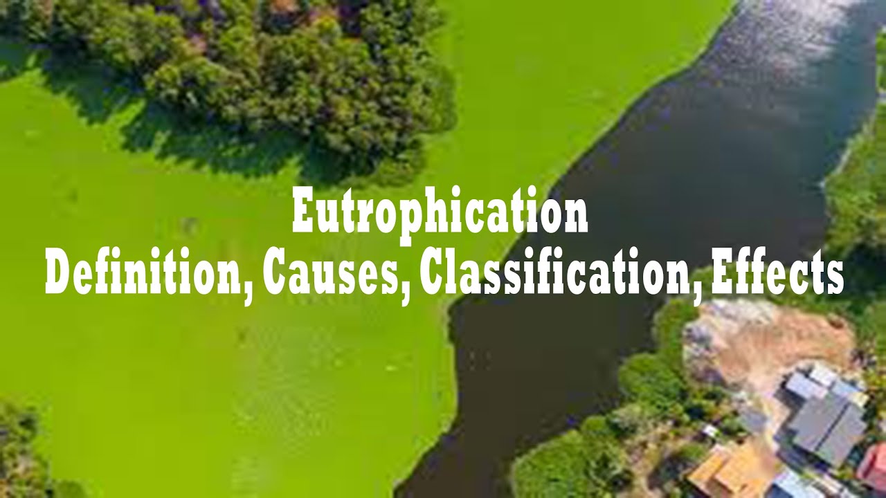 Eutrophication- Definition, Causes, Classification, Effects