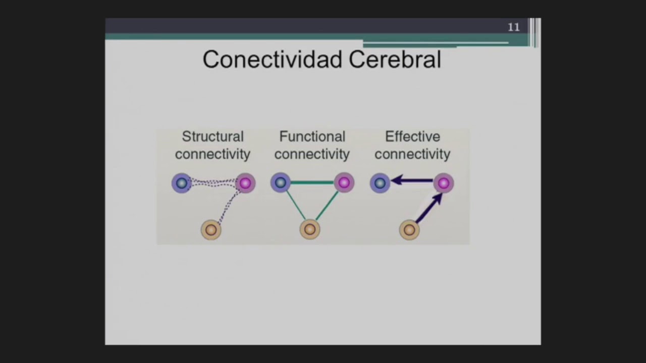 Espectroscopía cerebral del infrarrojo cercano (NIRS)