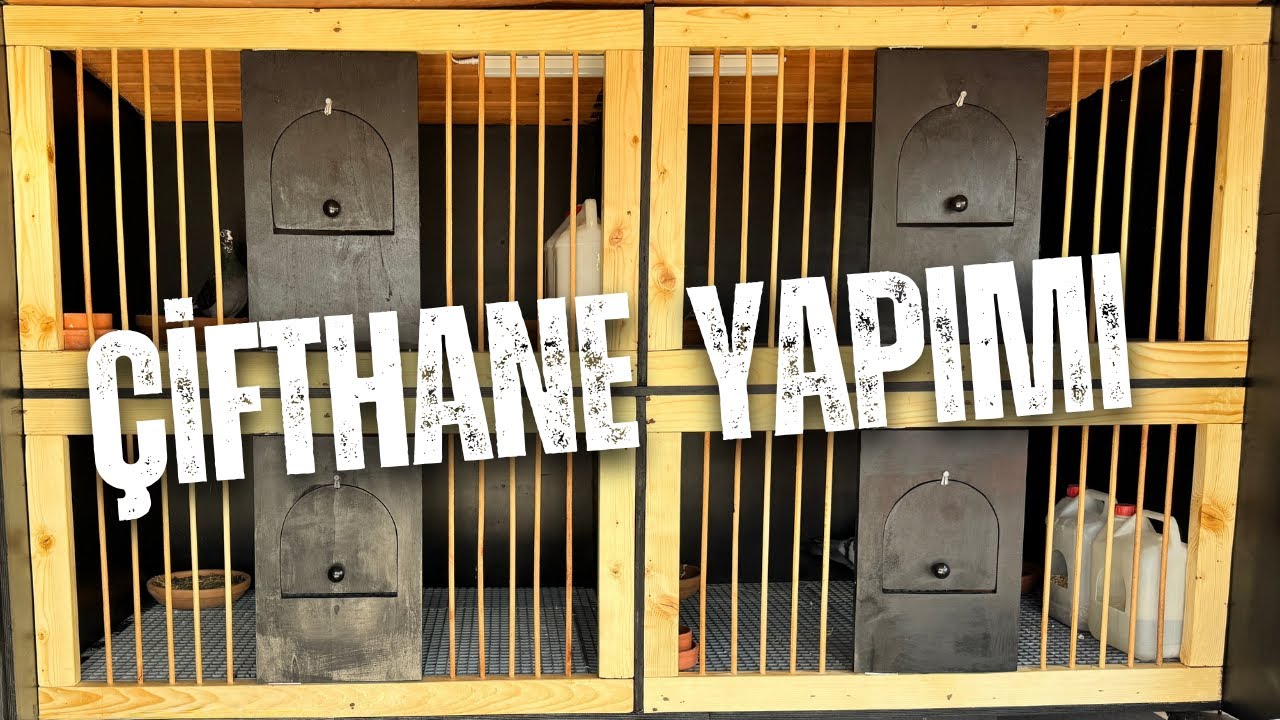 Güvercinler için kolay eşhane yuvalık yapım videosu / MAKING BOXES FOR PIGEONS