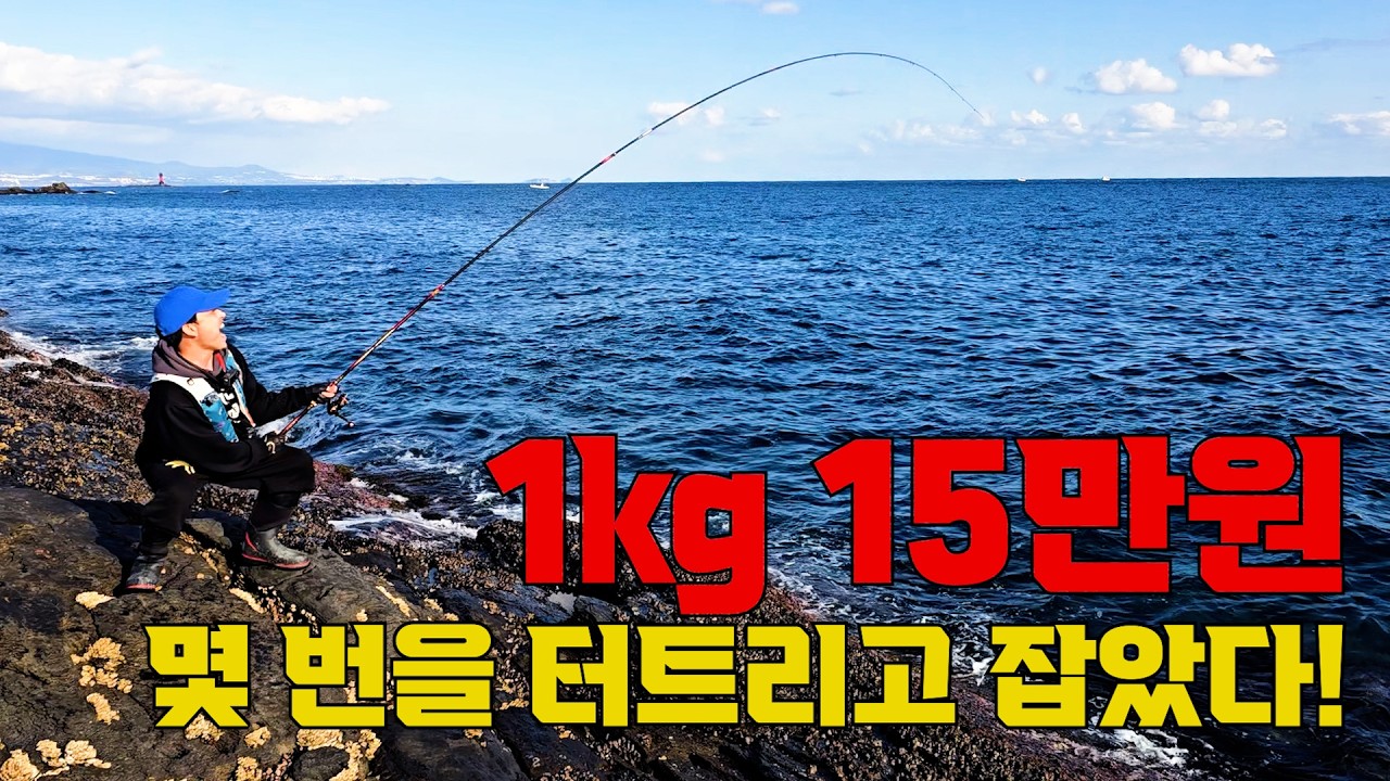 돈 주고도 못 사 먹는 최고급 물고기를 잡아서 먹어 보자 (in 제주도)