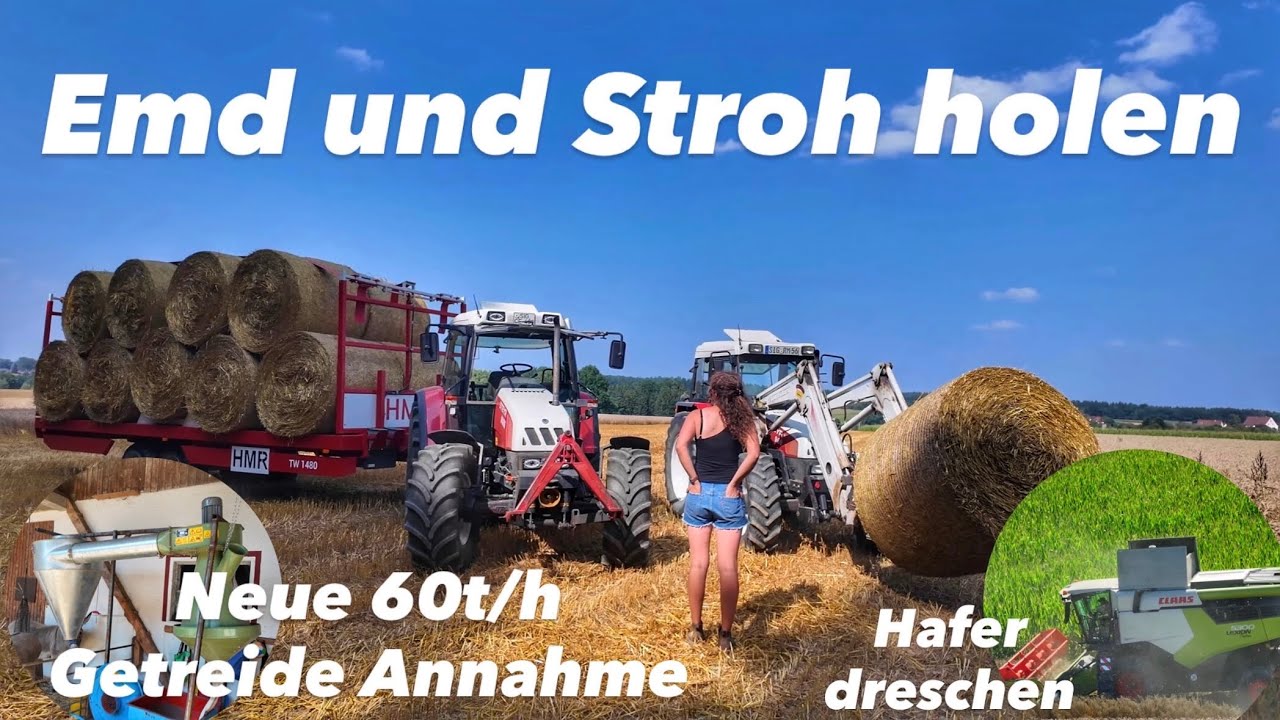 Hafer dreschen | Emd und Hafer Stroh | Neue Getreide Annahme 