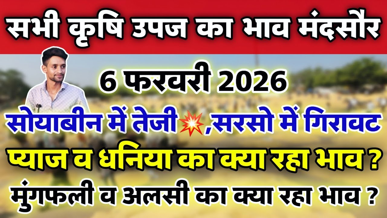 सभी कृषि उपज का भाव मंदसौर मंडी 6 फरवरी 2026 | Mandsaur Mandi ka bhav #mandsaur_mandi_bhav 