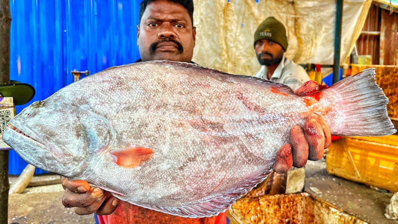 KASIMEDU SPEED SELVAM | HUGE SOLE NAKKU FISH CUTTING VIDEO | 4K VIDEO | KM FISH CUTTING 