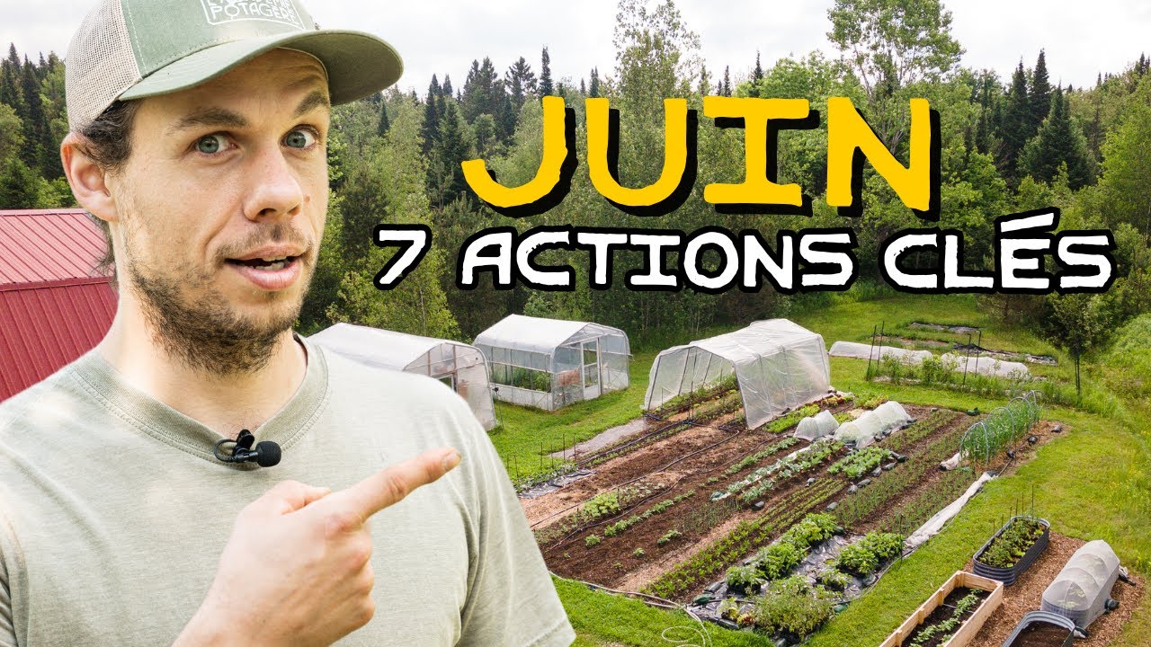 JUIN : 7 actions essentielles à ne pas oublier !