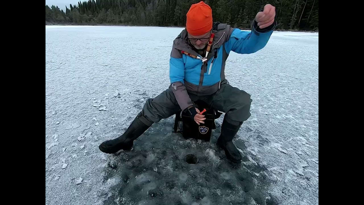 Pimpel på en liten tjärn