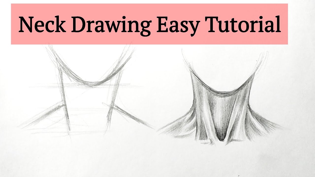 How to draw neck drawing for beginners | Neck Anatomy Drawing Fundamentals Basic drawing tutorials