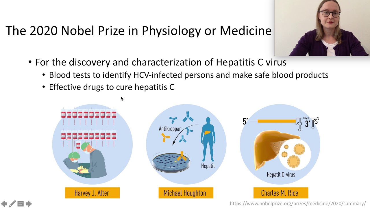 nanoTalk: Hepatitis C virus -  behind the Nobel prize