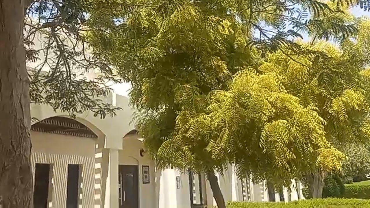 Taus/Qarnalam /Oman