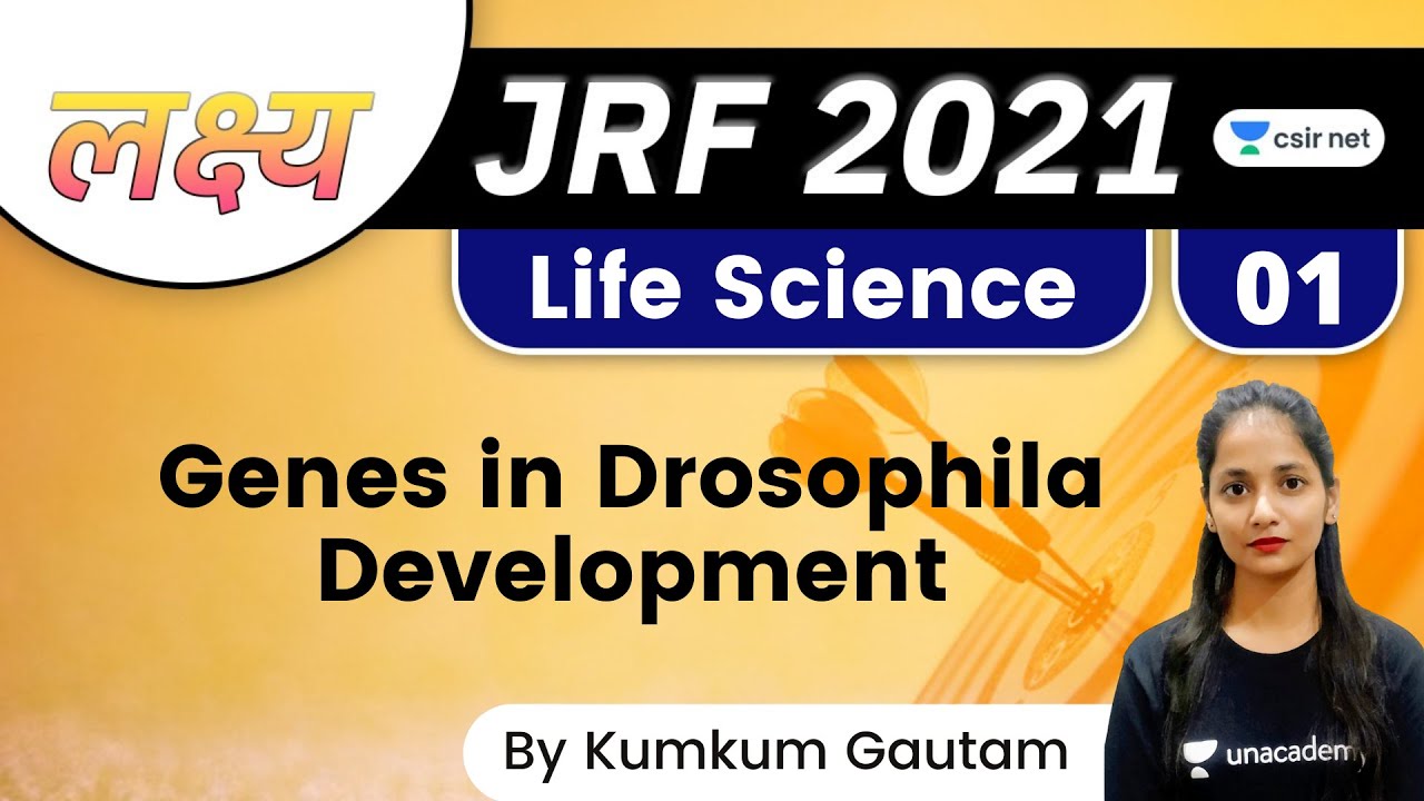 04:00 PM - Lakshya JRF June 2021 | Life Science by Kumkum Gautam | Genes in Drosophila Development