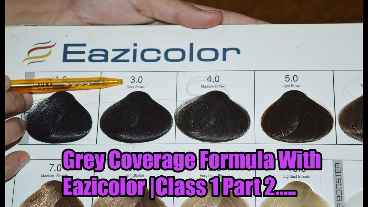 How To Achieve Drak Brown Hair Color Shade With Eazicolor On Gery Coverage |Class 1 Part 2