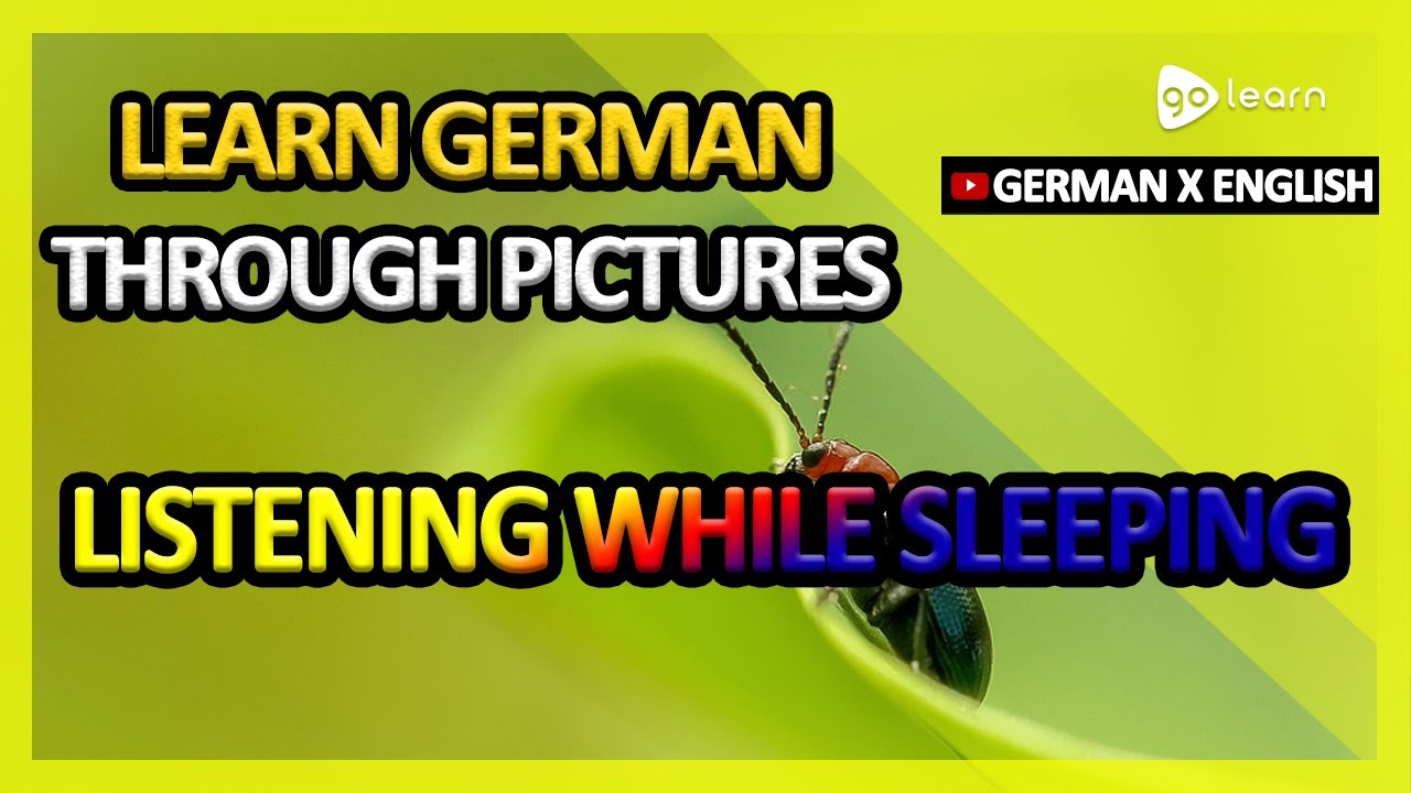 Learn German Through Pictures |German Vocabulary Listening While Sleeping | Golearn