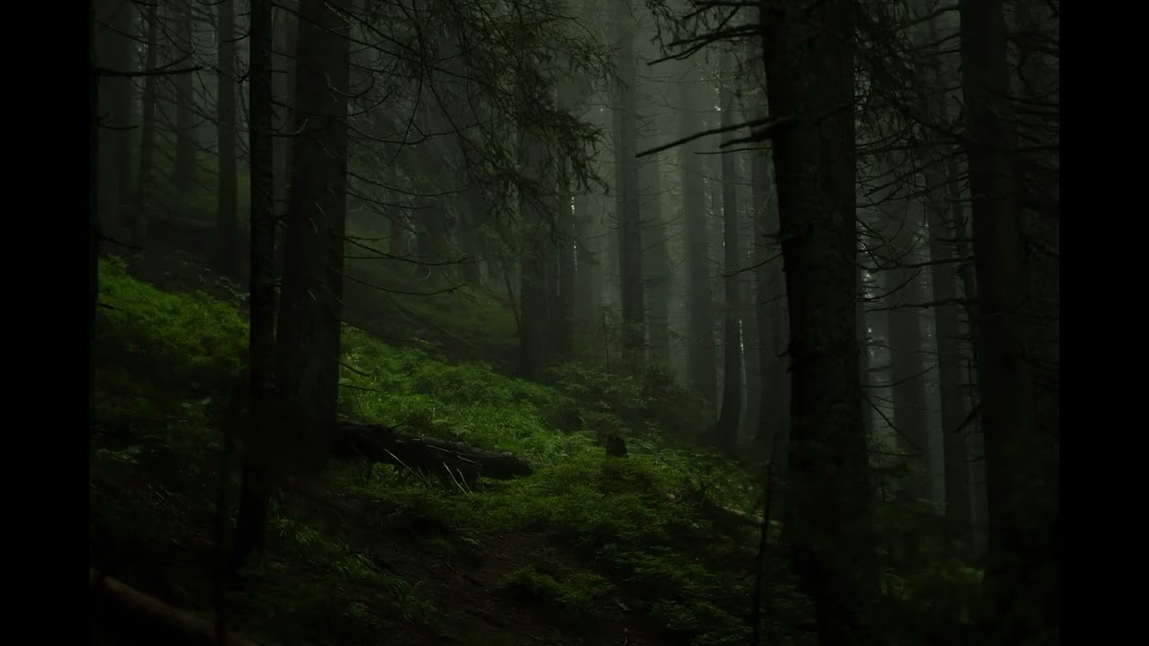 Echoes of the Fog